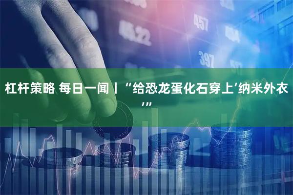 杠杆策略 每日一闻丨“给恐龙蛋化石穿上‘纳米外衣’”